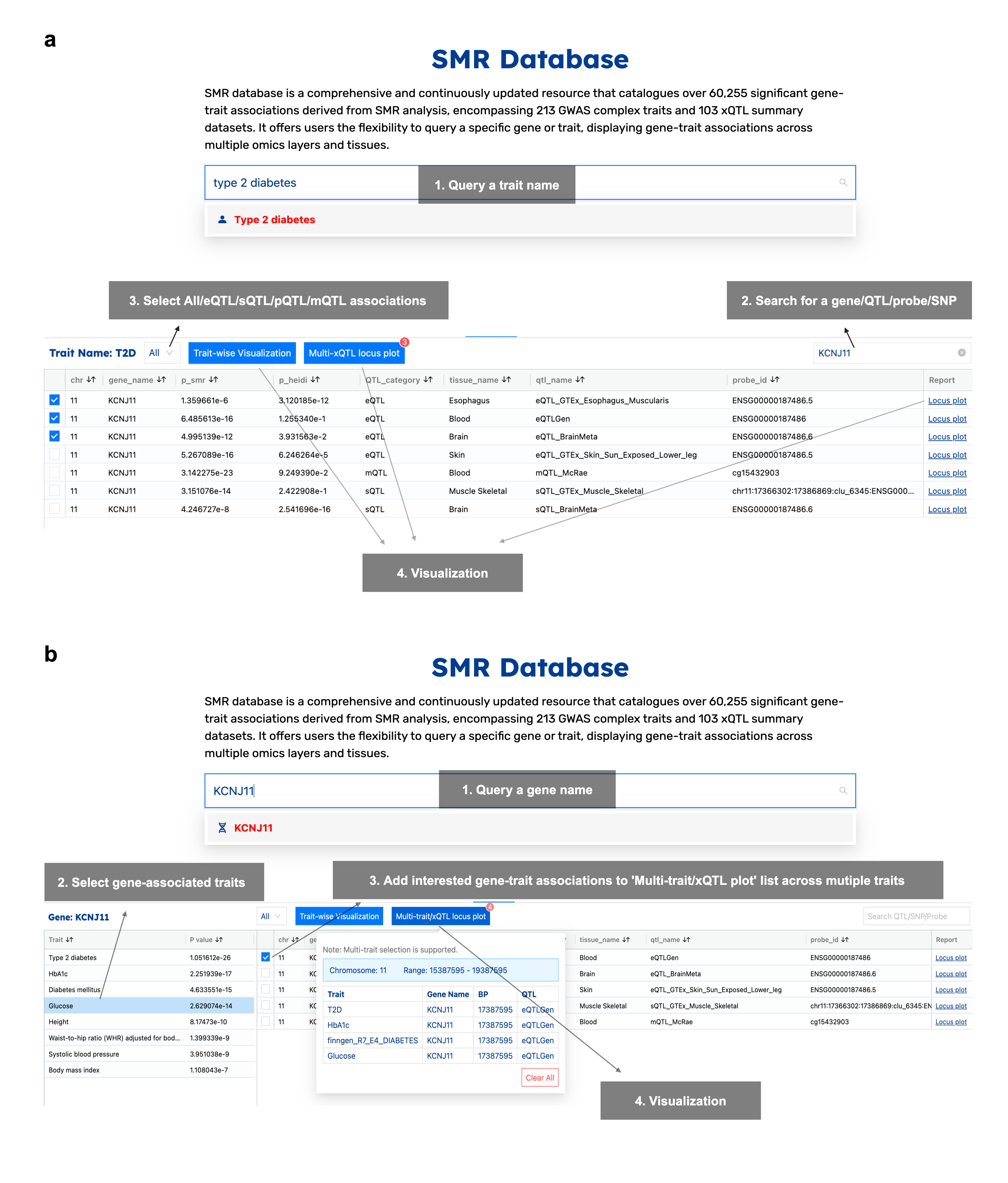Smr Coding Matrix SMR